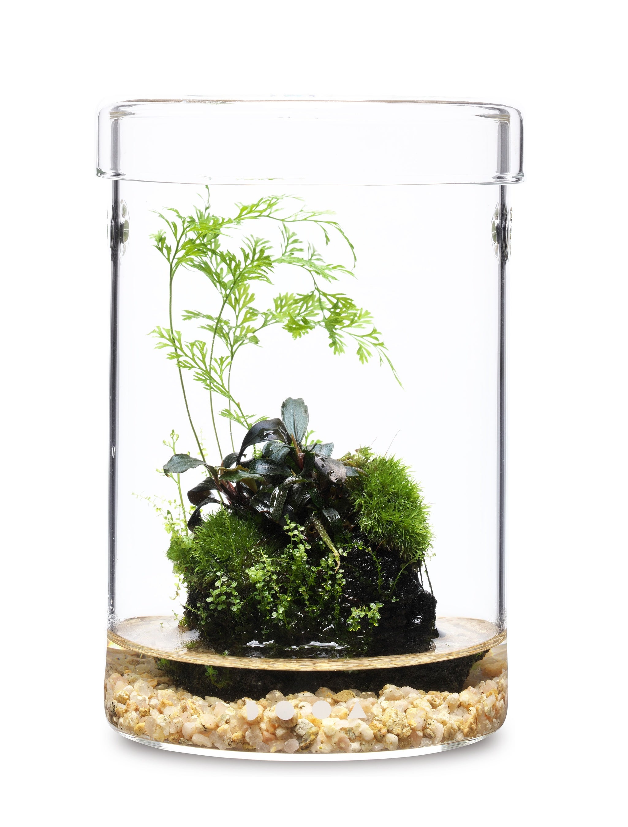 ※「ADA LAB」イメージ