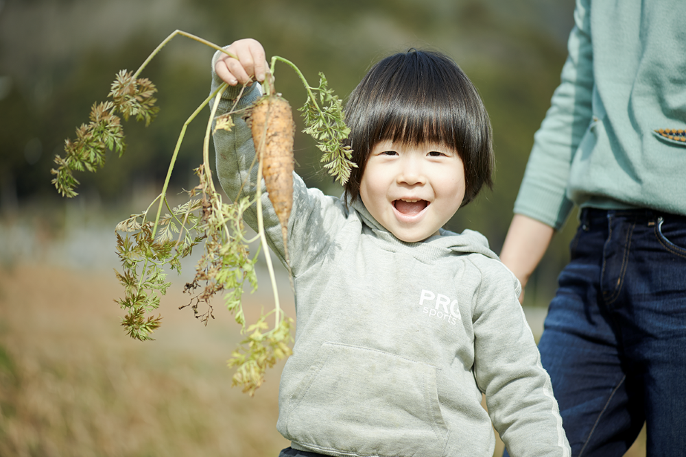 ※イメージ画像です。