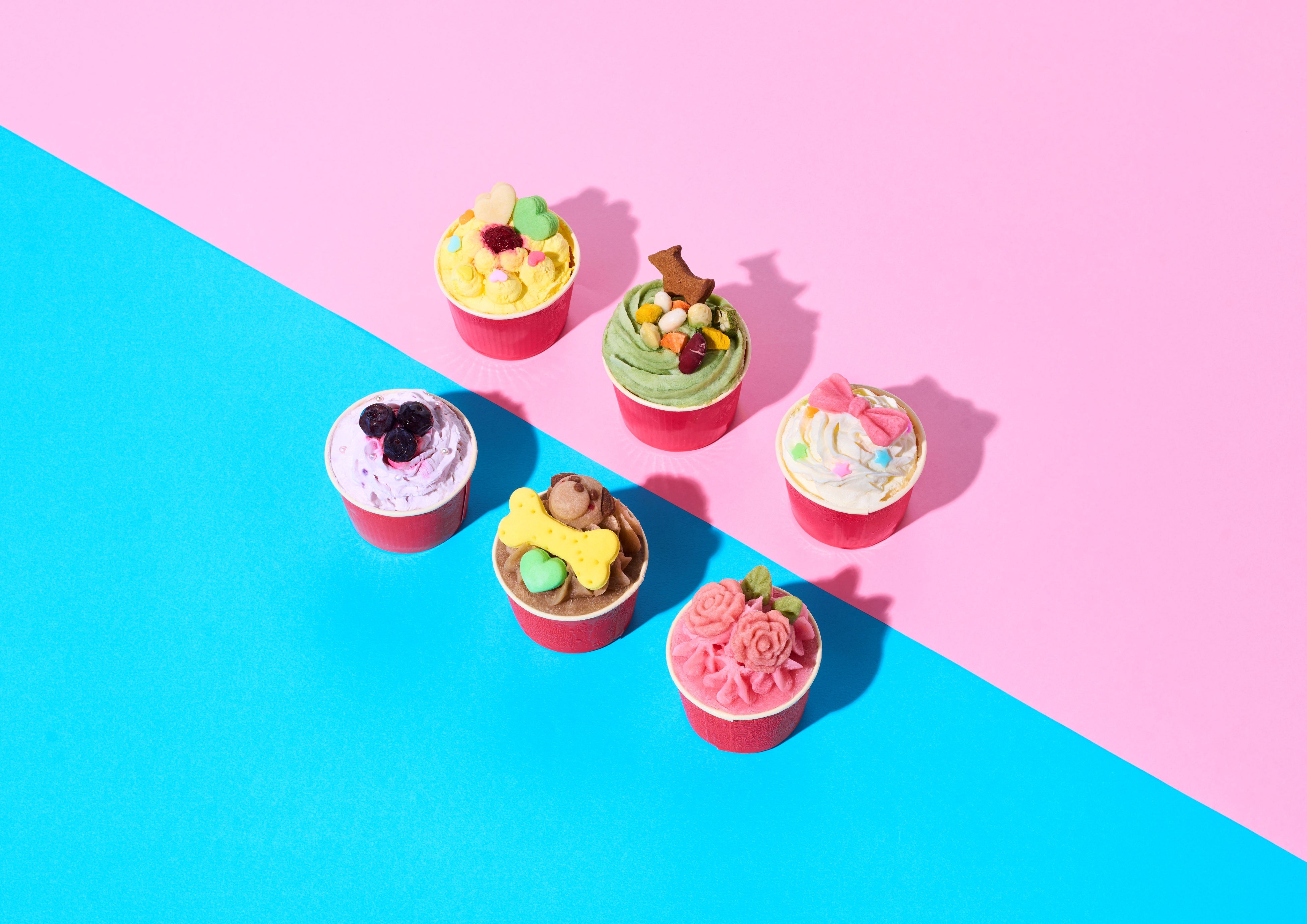 「CAKE LINK FORDOGS 」 ワンちゃん用プチケーキセット（直径４８ｃｍ、高さ６ｃｍ、６種各1 個入り） 税込み５,７２０円 【冷凍】