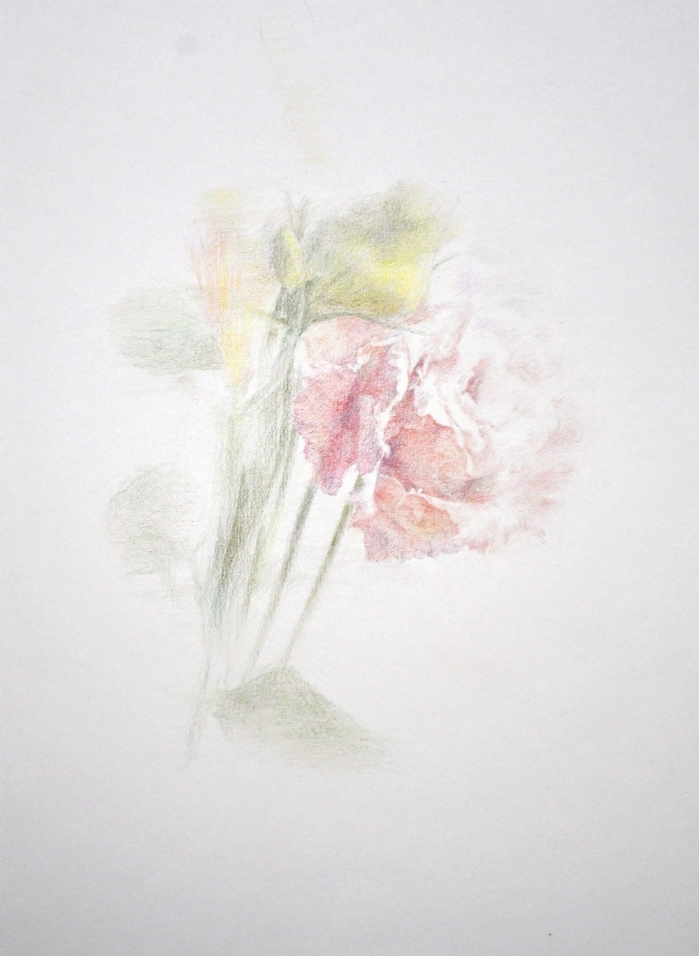 「華」紙に色鉛筆　24×18cm　99,000円