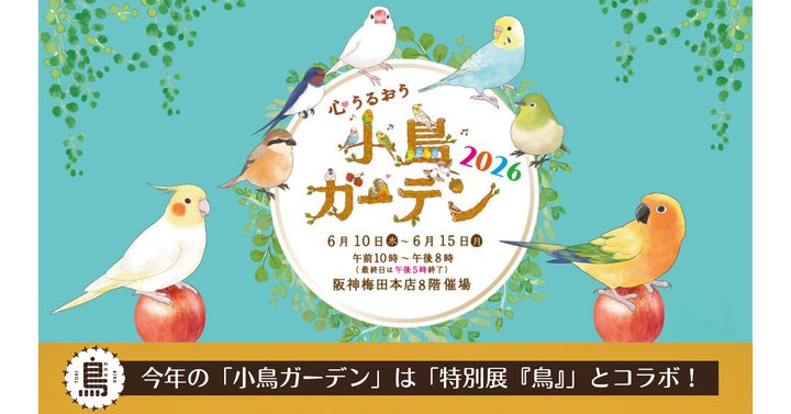 阪神梅田本店】約100名の鳥作家が集結!「小鳥ガーデン」が今年さらに 阪神梅田本店】約100名の鳥作家が集結!「小鳥ガーデン」が今年さらに