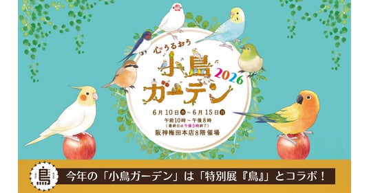 【阪神梅田本店】約100名の鳥作家が集結!「小鳥ガーデン」が今年さらにパワーアップして開催いたします 【阪神梅田本店】約100名の鳥作家が集結!「小鳥ガーデン」が今年さらにパワーアップして開催いたします