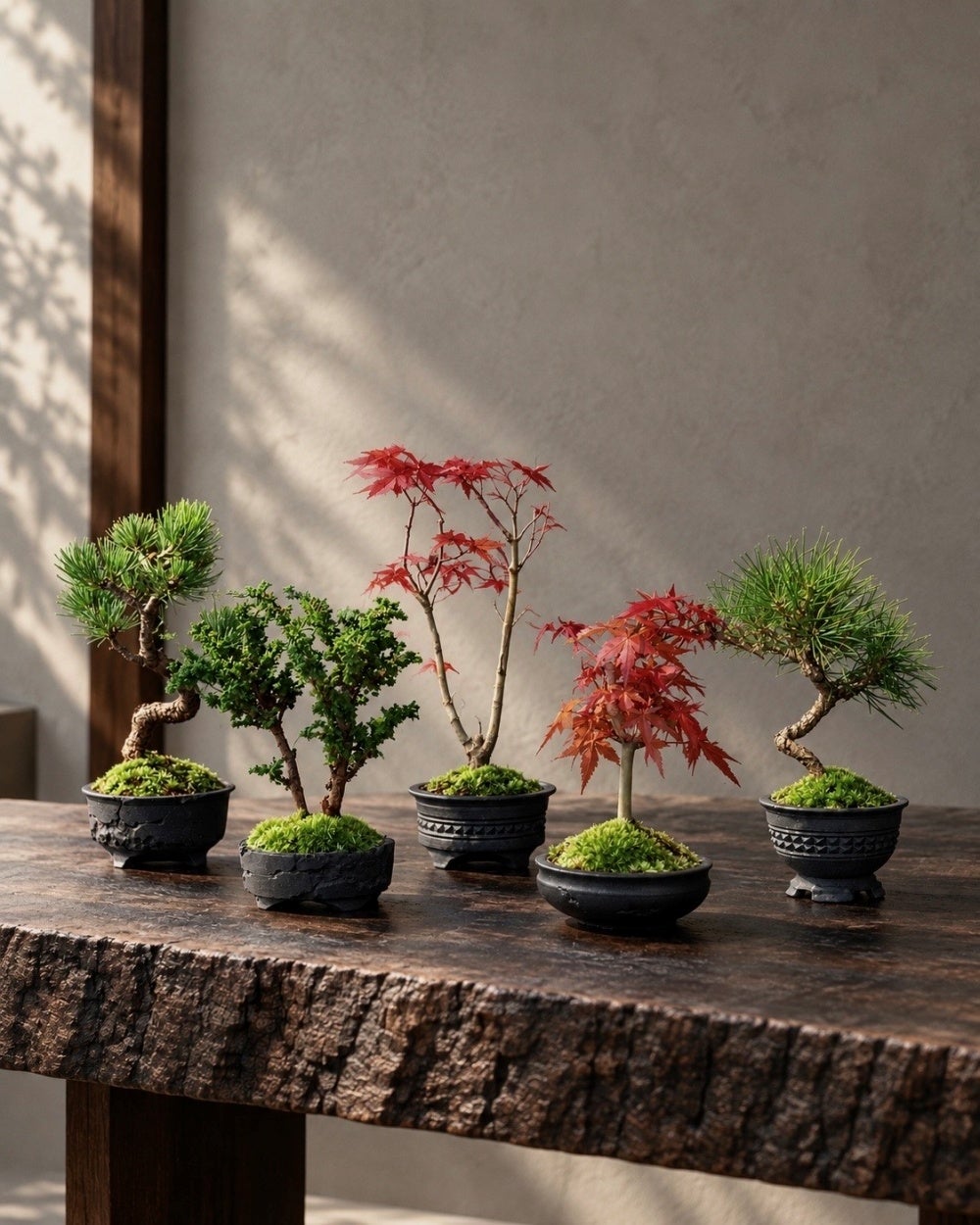 【阪急うめだ本店】人気急上昇の「盆栽」!阪急うめだ本店で「盆栽×陶芸」コラボイベント開催