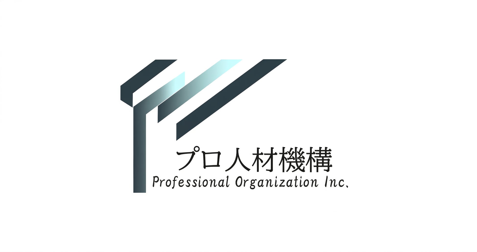 株式会社プロ人材機構