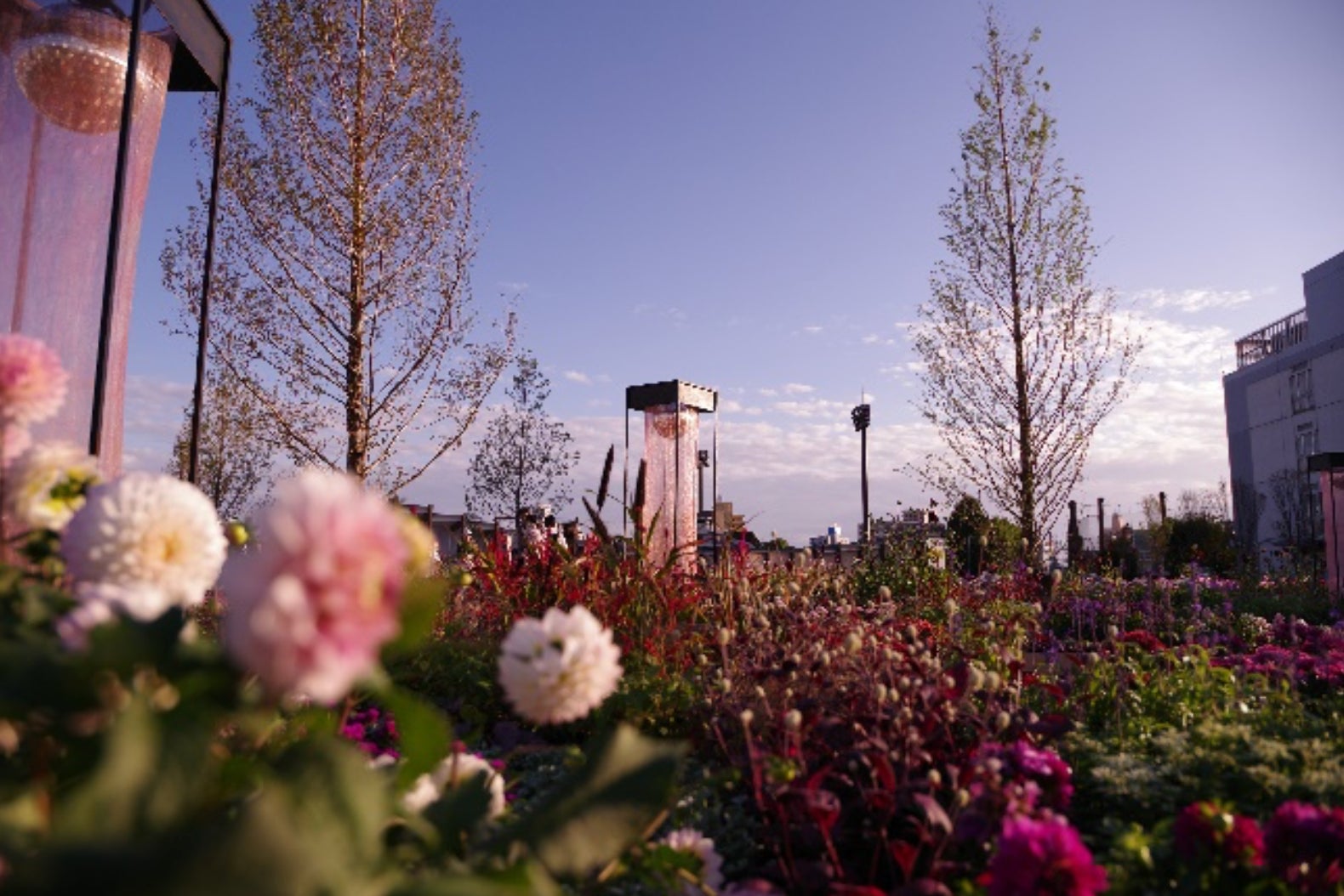 メインガーデン「Colors, Future Garden」(昼)