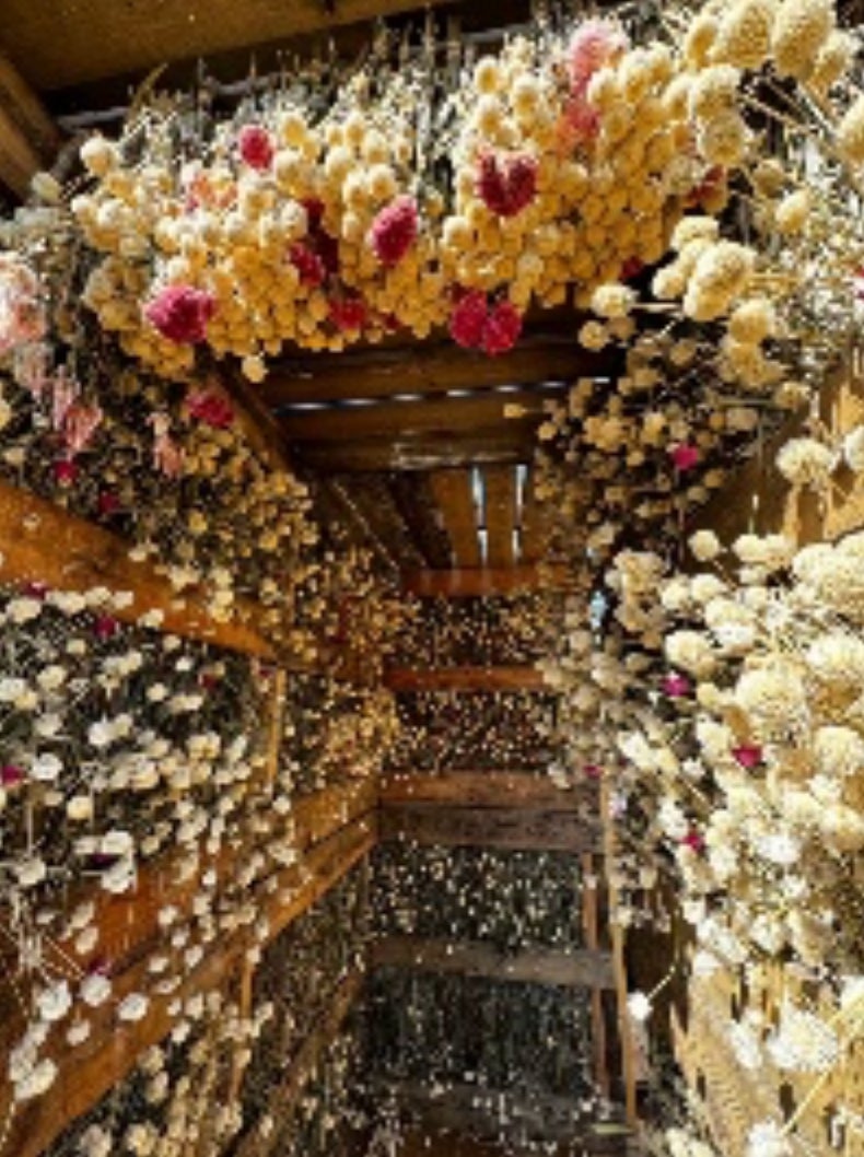 メインガーデン「ACTIVE GARDEN」(嗅覚エリア)