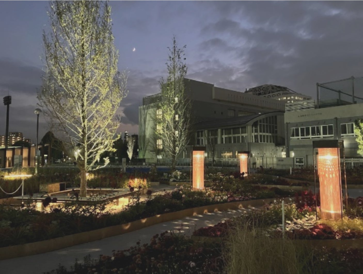 メインガーデン「Colors, Future Garden」(夜)