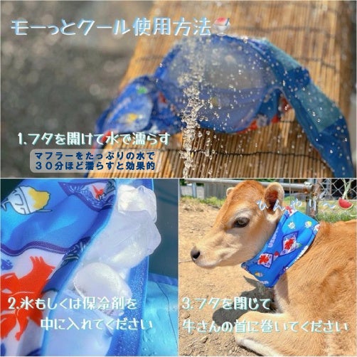 USIMO】熱中症警戒アラート！「暑さで仔牛がバテているので試したい