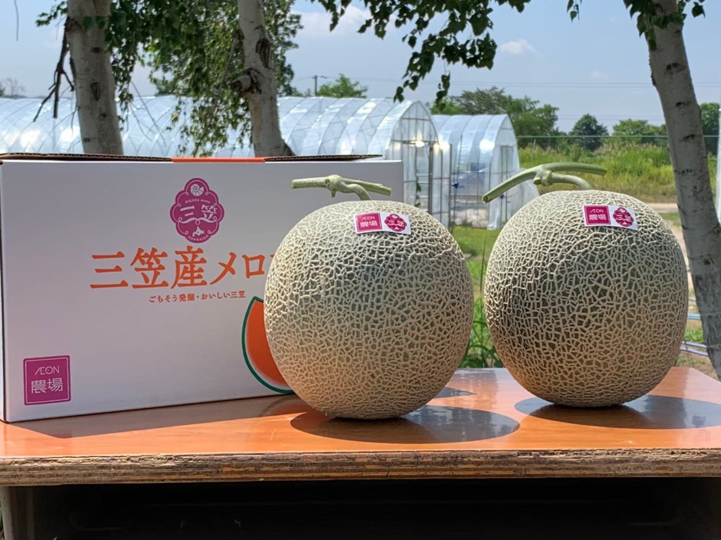 ▲イオンアグリ創造 北海道三笠農場のメロン