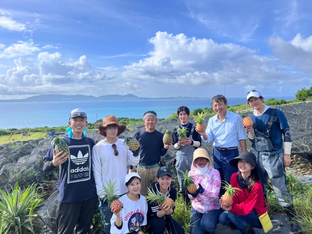 2022年に実施したクラチャレにてパイナップルの収穫の様子