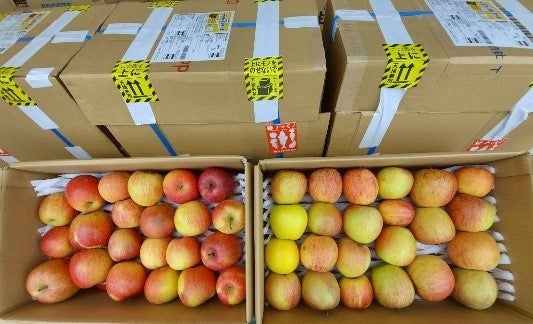 ※提供元：NPOホットライン信州