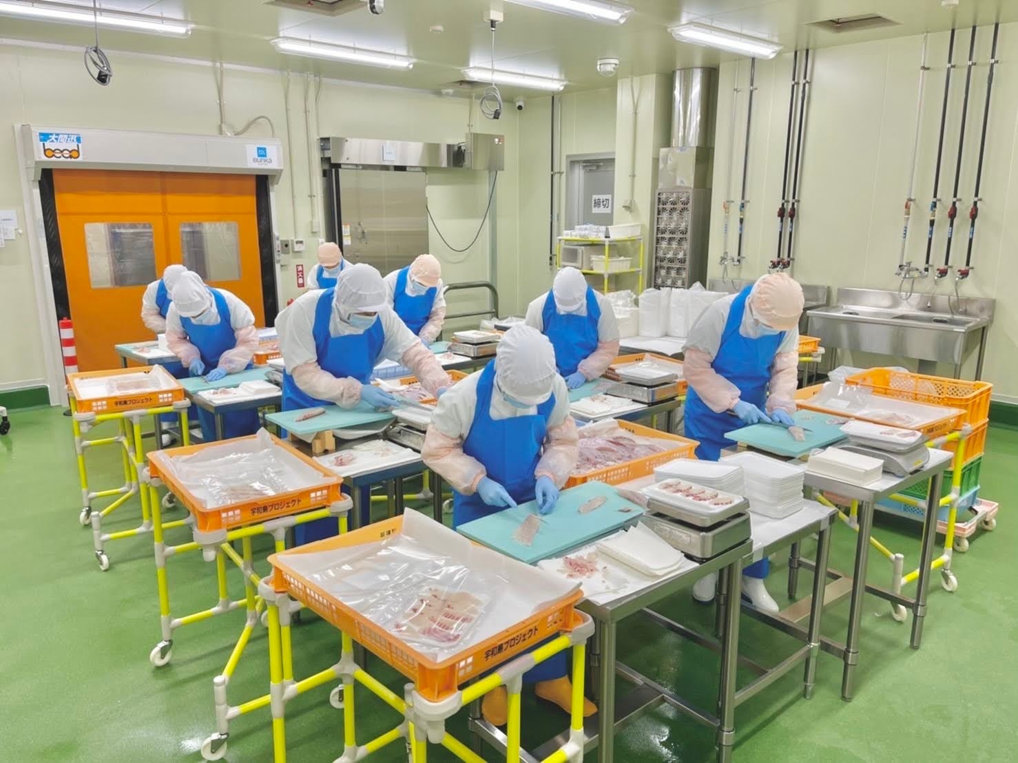 提供：宇和島プロジェクト