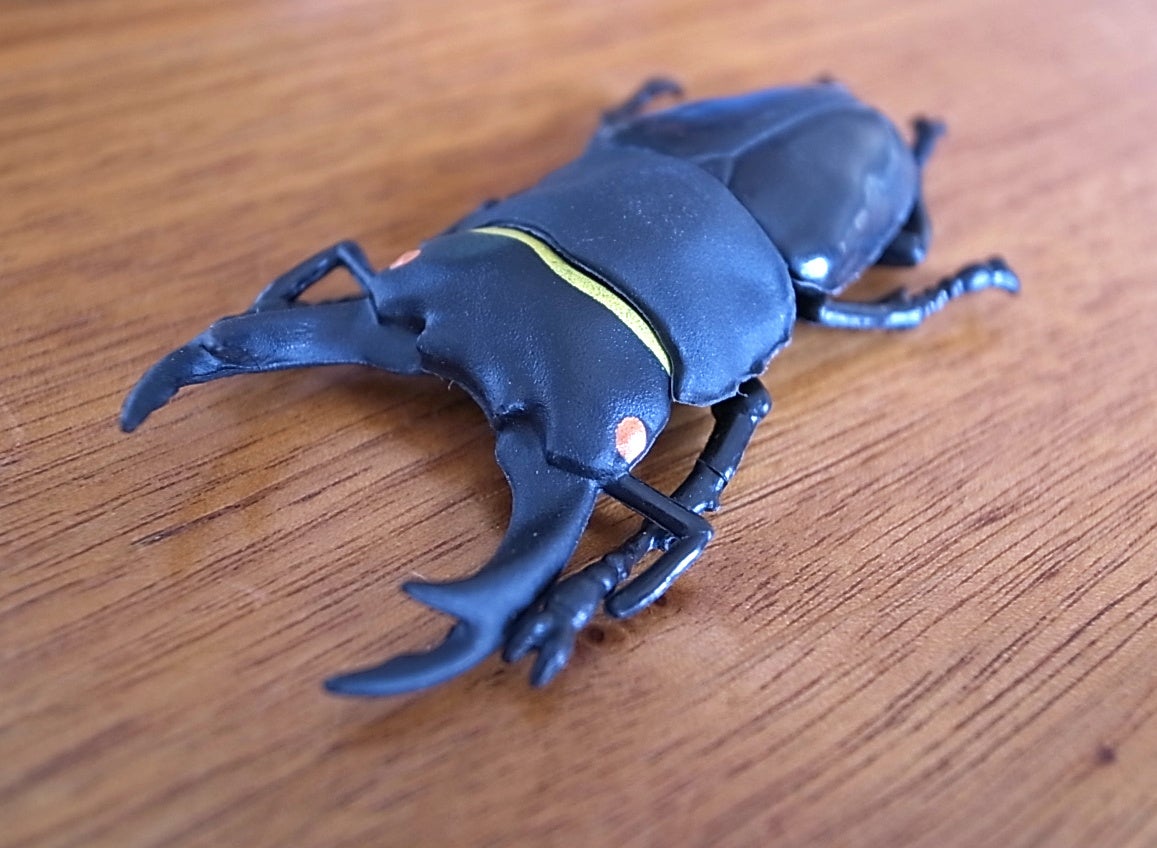 人気のカブトムシ クワガタムシのリアルフィギュアが付いた昆虫図鑑が発売 株式会社双葉社のプレスリリース 人気のカブトムシ クワガタムシのリアルフィギュアが付いた昆虫図鑑が発売 株式会社双葉社のプレスリリース