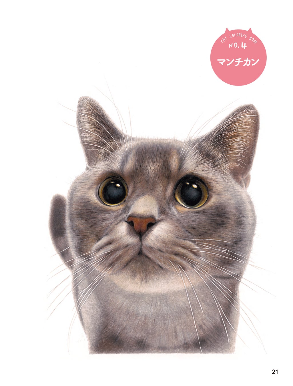 リアルすぎる色鉛筆画で 16万いいね の大反響 音海はるの ねこぬりえ Book が双葉社から発売 株式会社双葉社のプレスリリース リアルすぎる色鉛筆画で 16万いいね の大反響 音海はるの ねこぬりえ Book が双葉社から発売 株式会社双葉社のプレスリリース