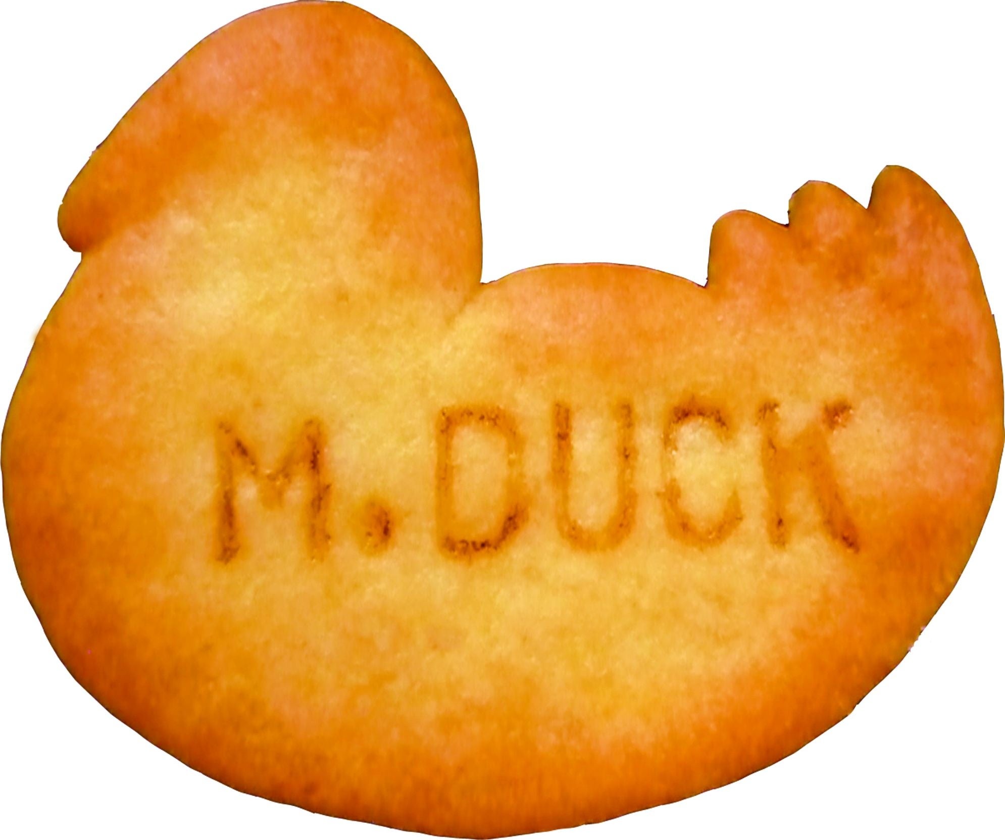 ※写真はイメージです