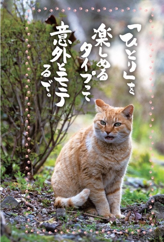 写真/今田仁義