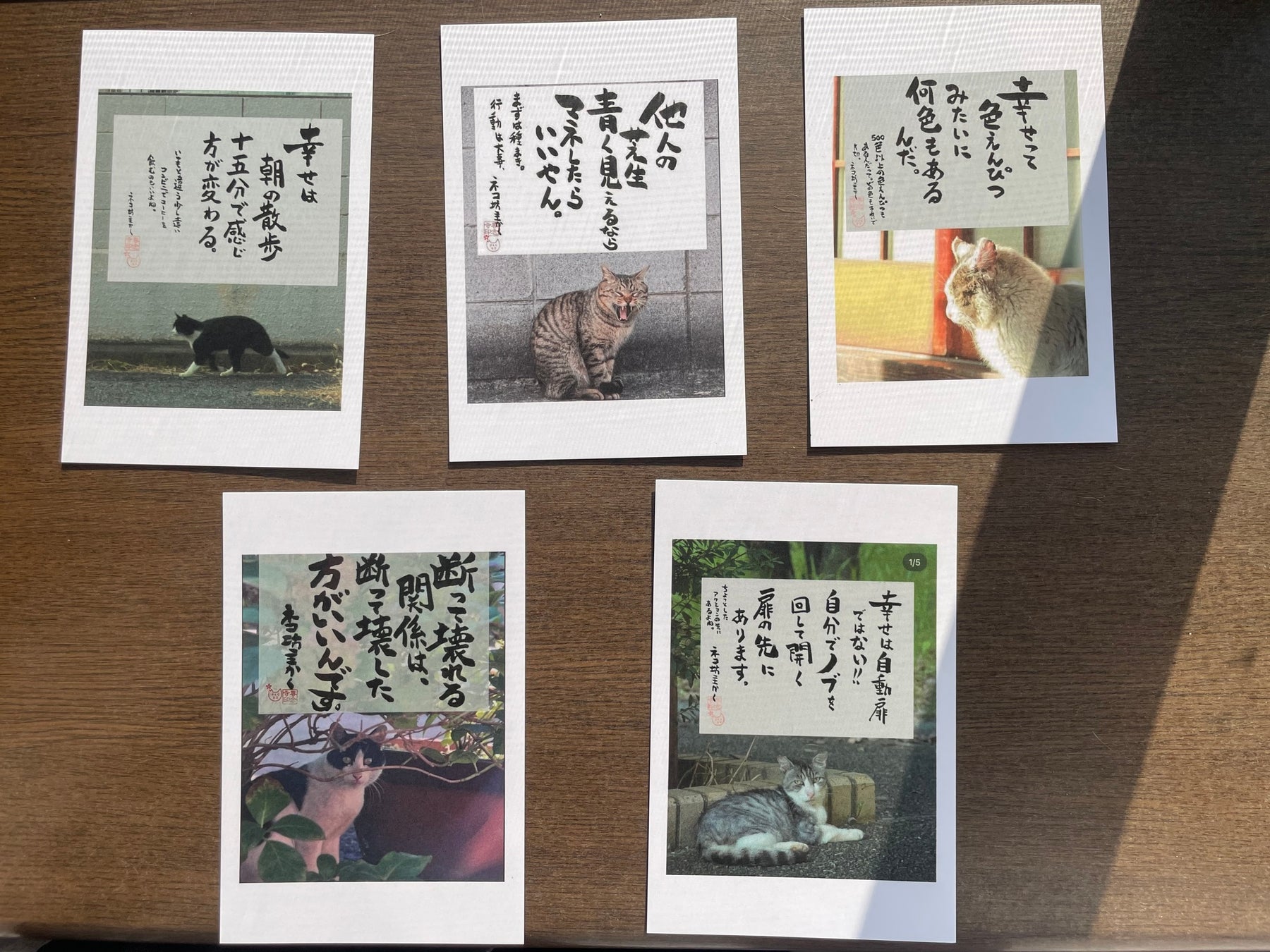 写真/今田仁義