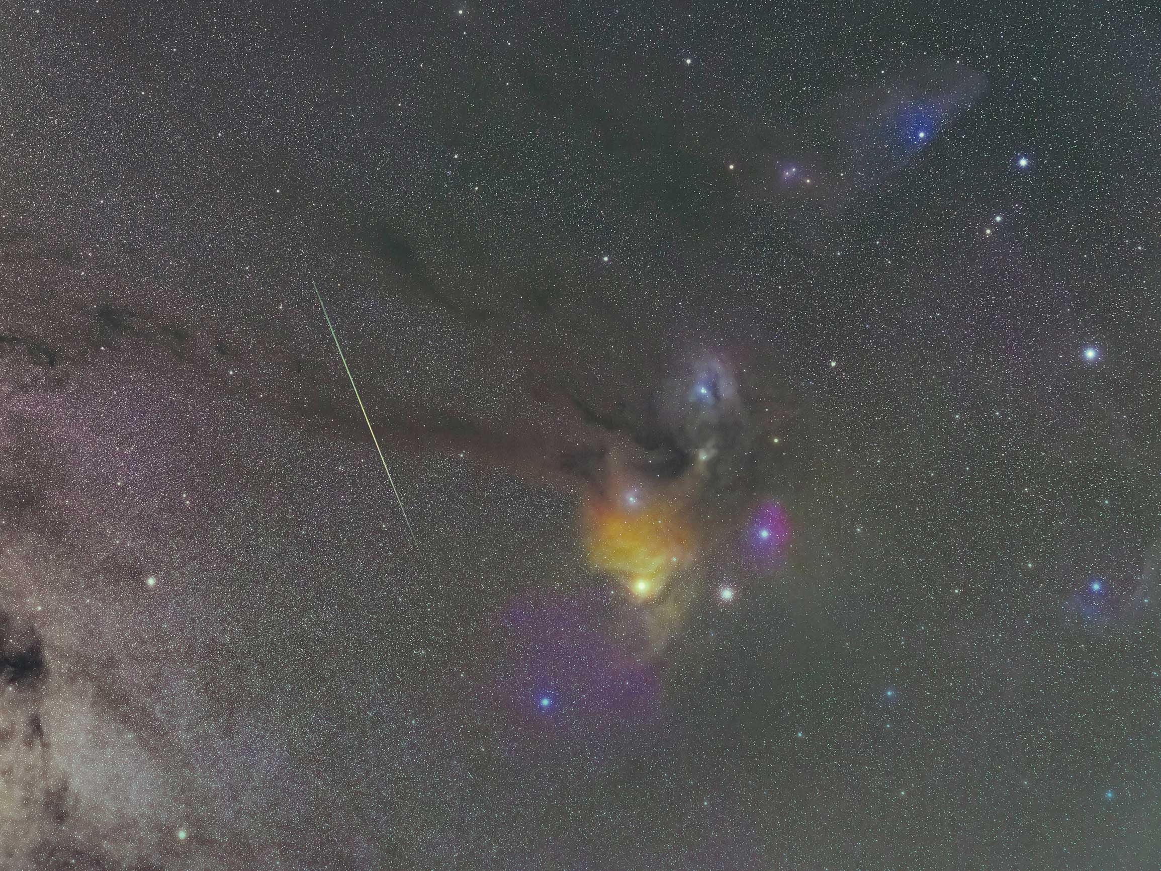 Photo／成澤広幸