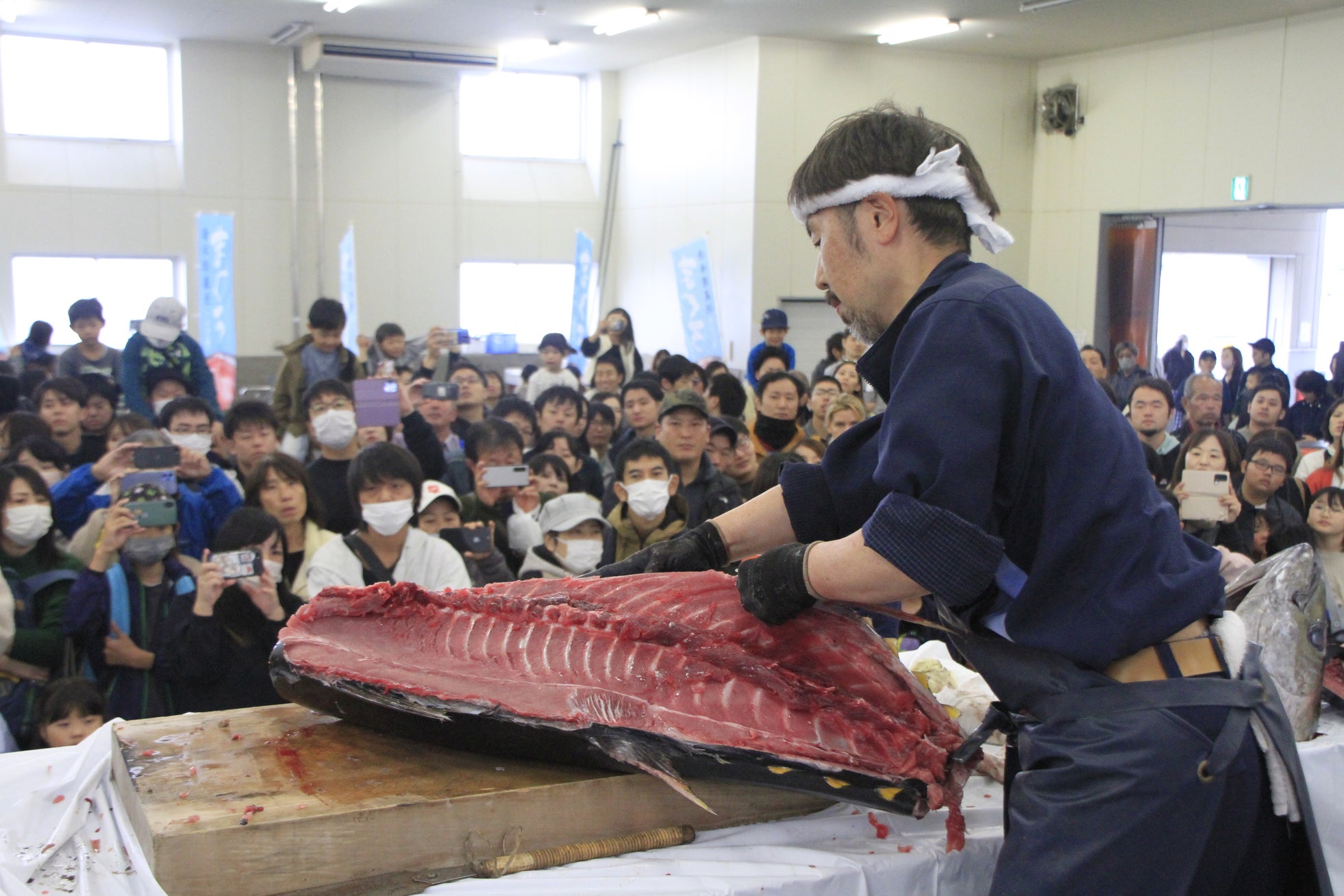 【冷凍マグロの水揚量“日本一”の静岡市清水港】無料のマグロ振る舞いや解体ショーなどマグロイベントの祭典「清水港マグロまつり2025」が11月8日(土)・9日(日)にて開催