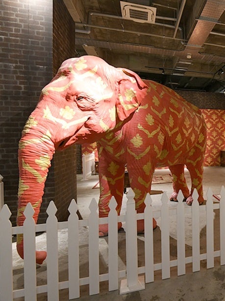 ©NTV 東京展会場より