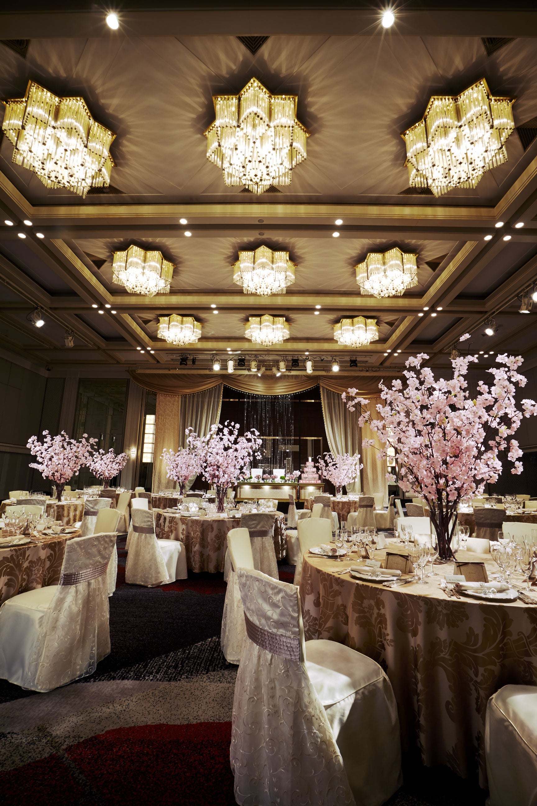 写真はイメージです