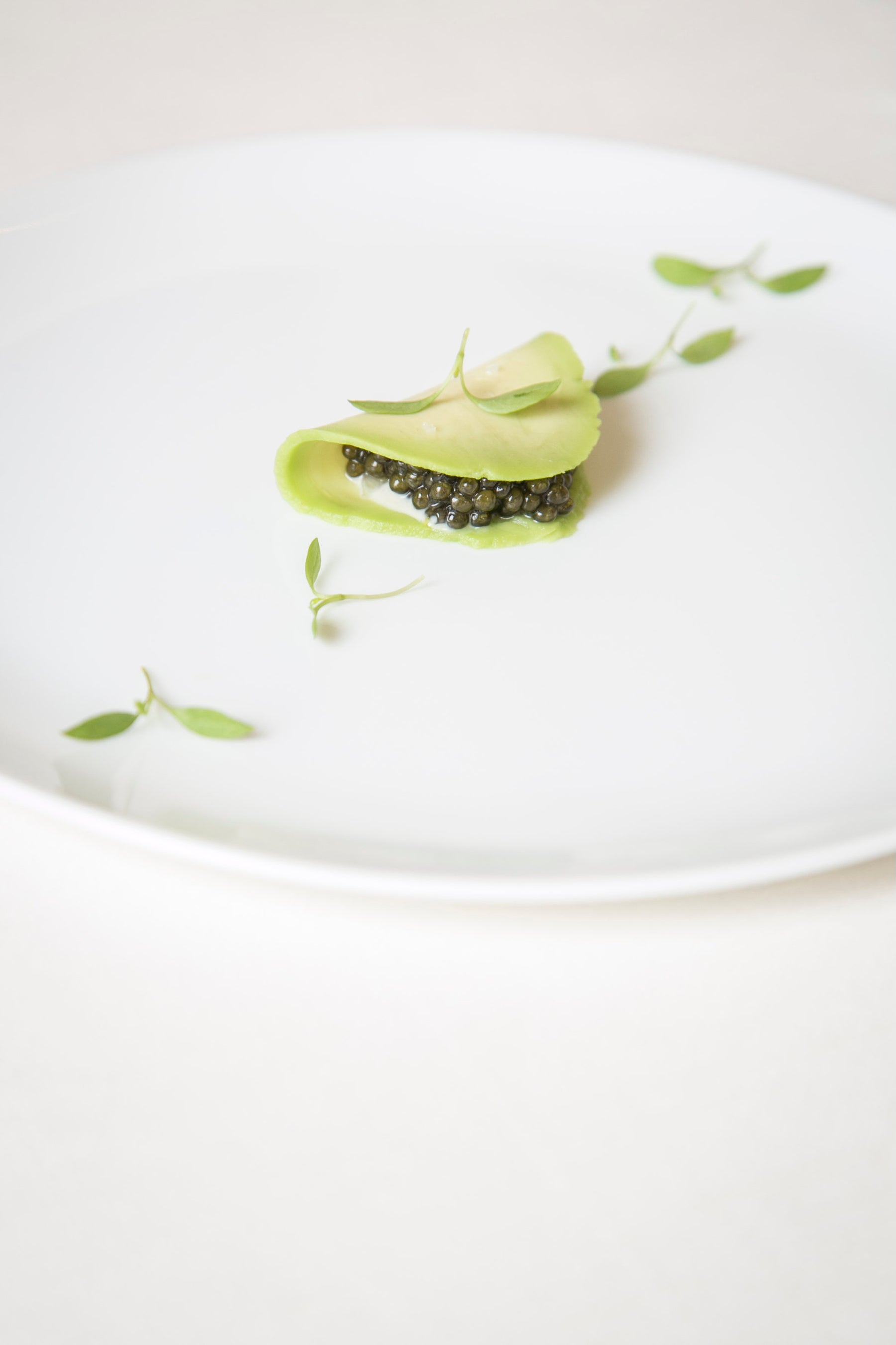 写真はイメージです。