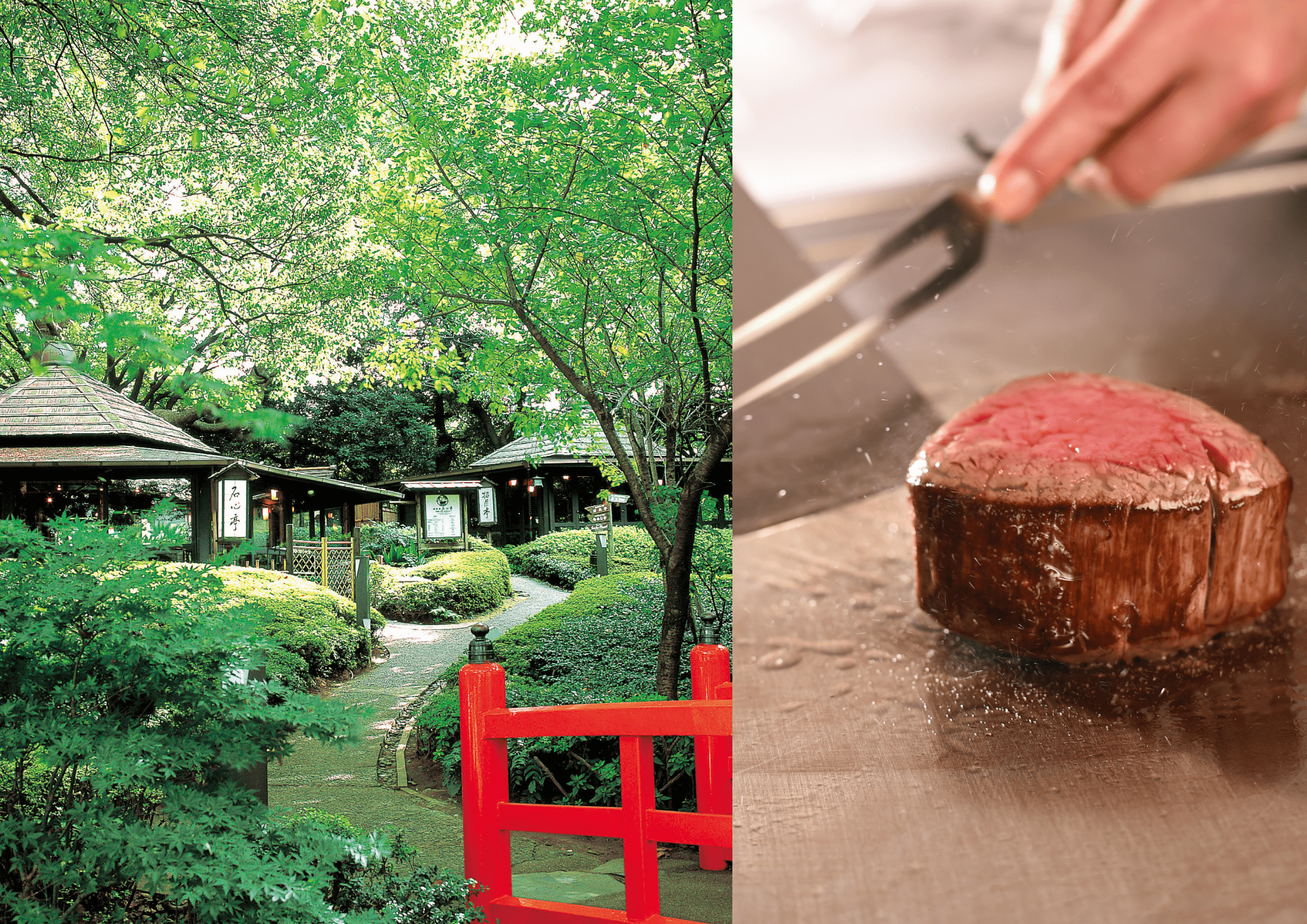 鉄板焼「石心亭」