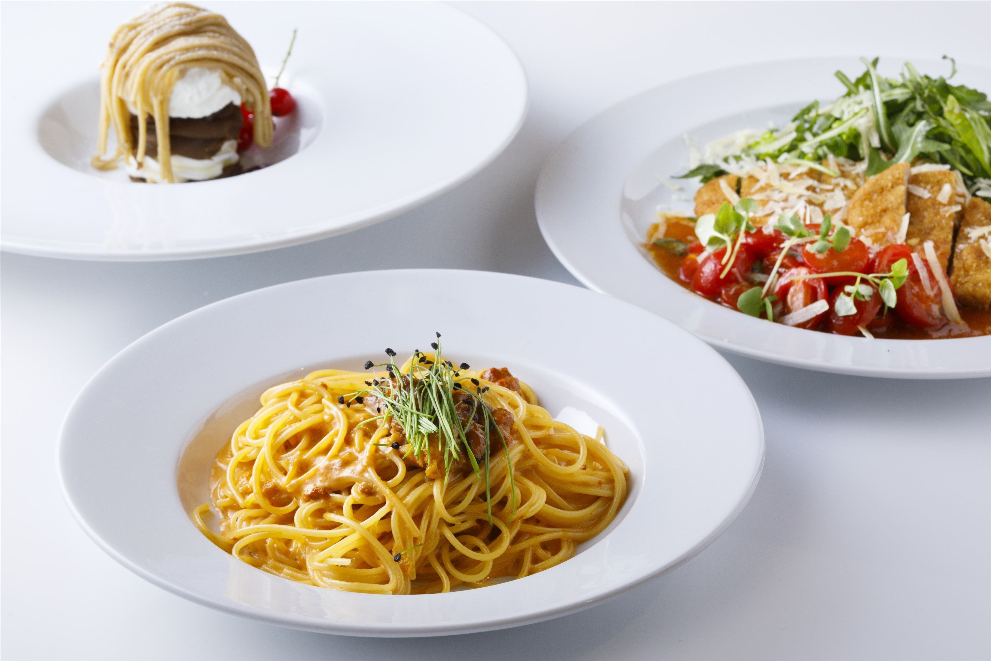 新西洋料理体系 新西洋料理体系 料理本 シェフを目指す方にも 新西洋料理体系