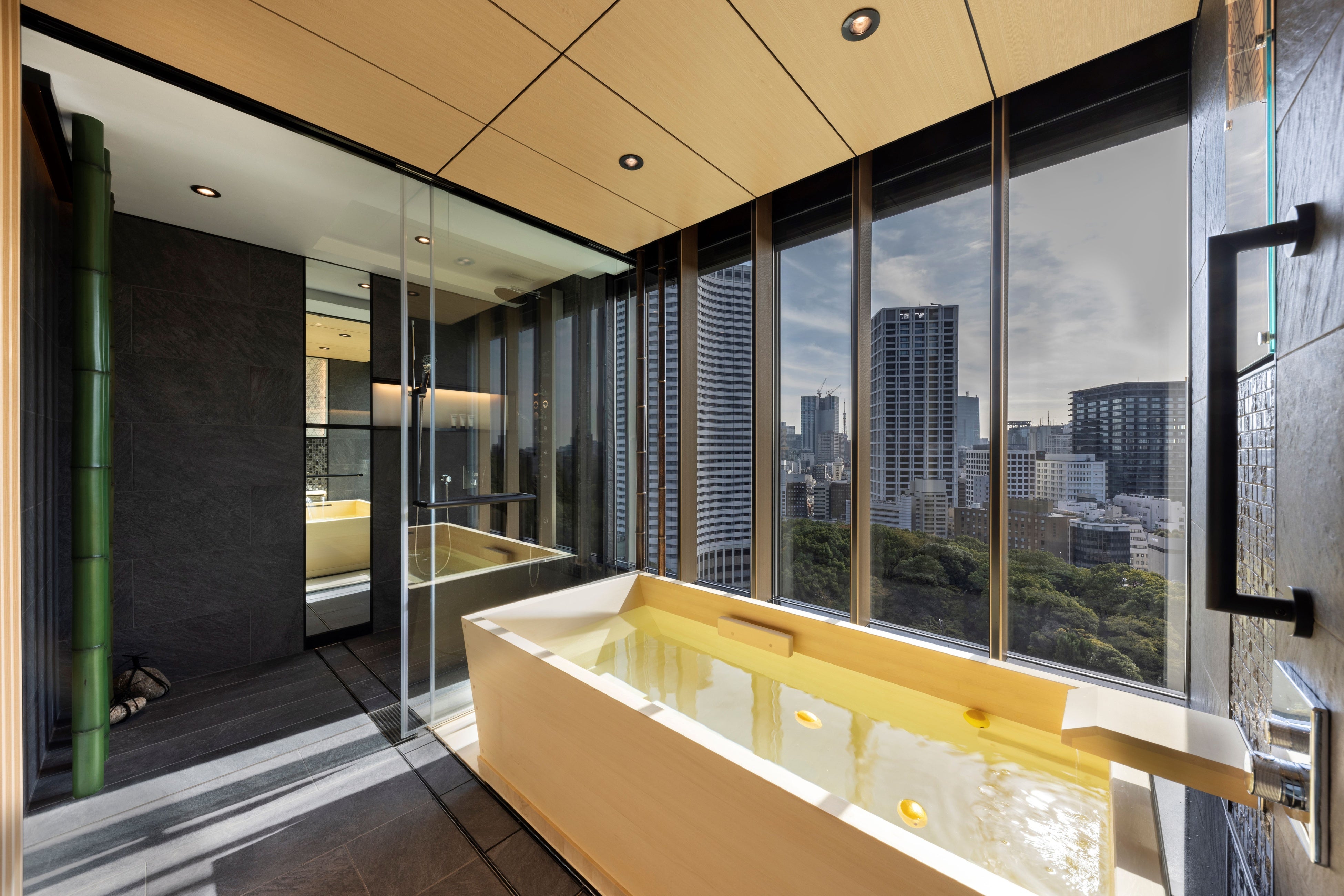 『ザ・メイン 新江戸ガーデンスイート』