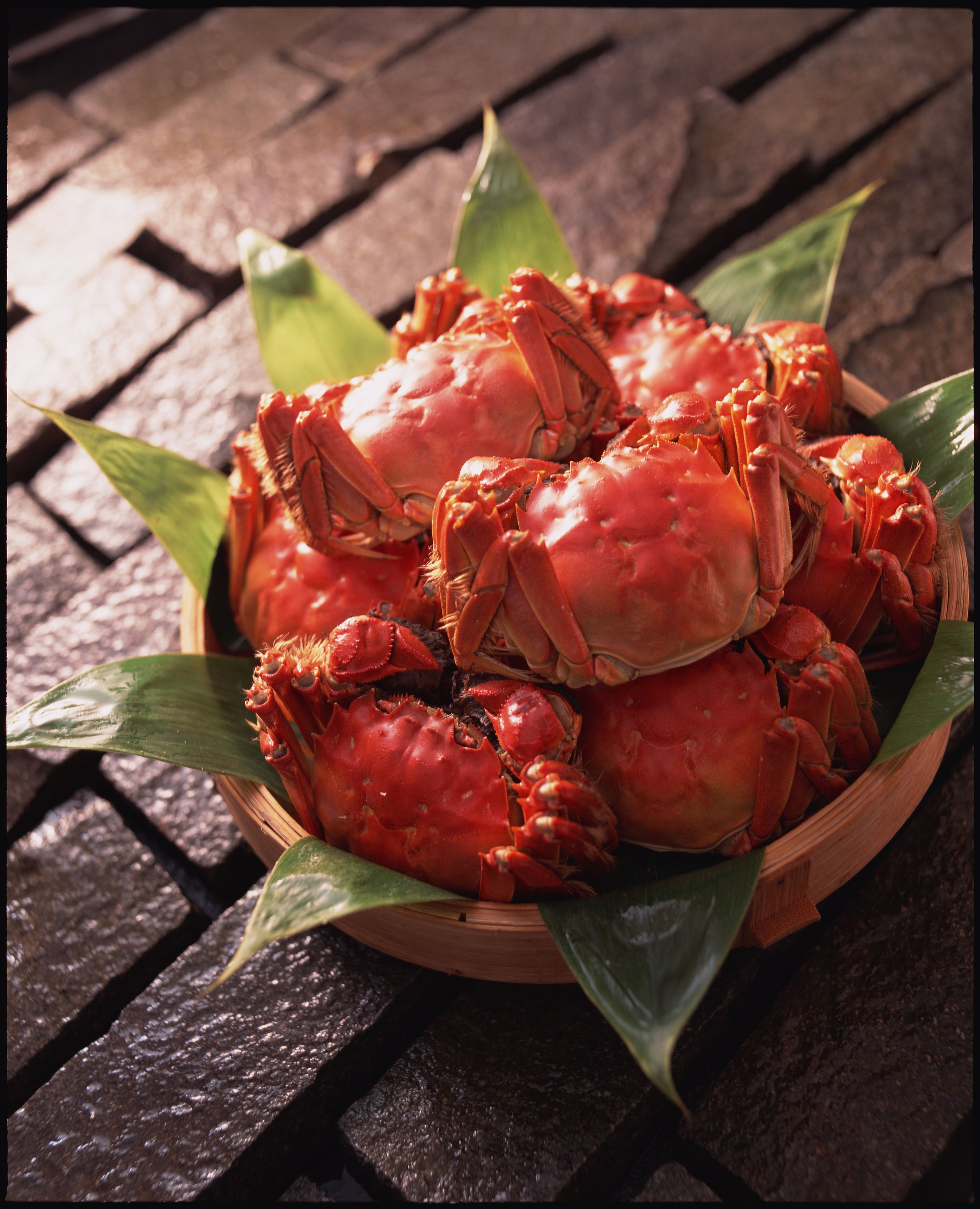 濃厚な旨みを誇る「上海蟹」が東京に上陸！期間限定「上海蟹フェア」開幕！