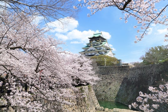 【1日5室限定】お部屋で”プライベートお花見”。ホテルで叶う、絶景&美食の極上春ステイ 【1日5室限定】お部屋で”プライベートお花見”。ホテルで叶う、絶景&美食の極上春ステイ