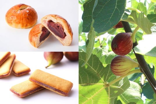 <9月9日は「姉崎いちじくの日」>市原市特産を味わう2つの贅沢コラボ商品が今年も登場! <9月9日は「姉崎いちじくの日」>市原市特産を味わう2つの贅沢コラボ商品が今年も登場!