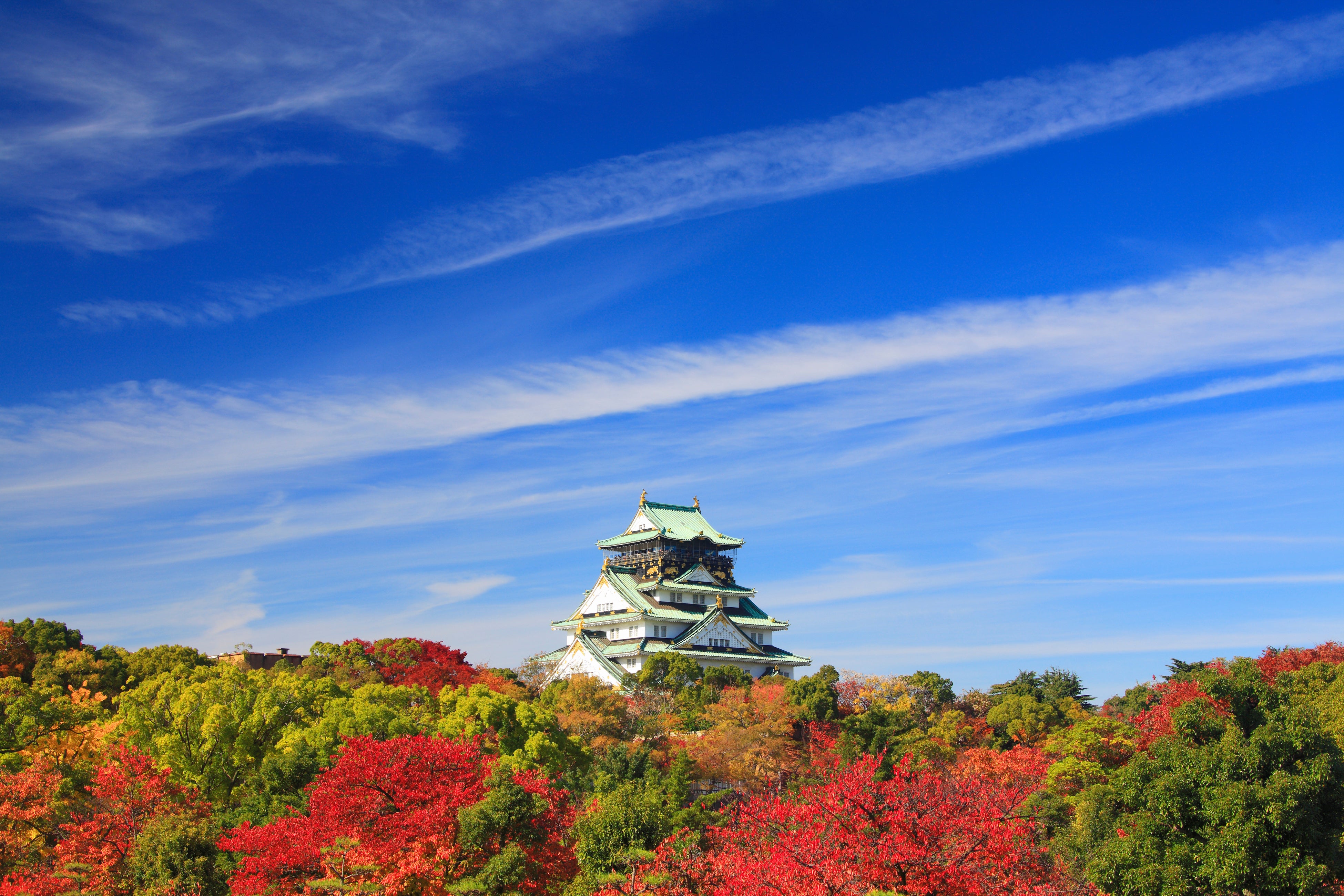 ”秋は大阪で紅葉狩り” 京都や奈良の紅葉巡りにも好アクセス。クレジット付き宿泊プラン『秋の連泊ステイ』を販売