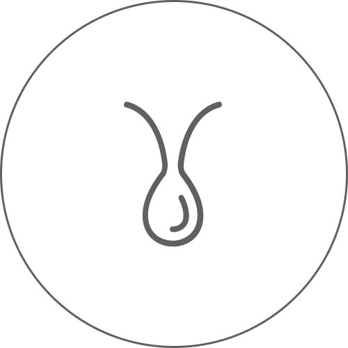 SHIMBI METHOD