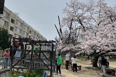 春の桜を、夏に守る。大阪府「サクラを守れ!クビアカツヤカミキリ 夏の陣2026」府内初回の捕獲大会を助松公園で開催 春の桜を、夏に守る。大阪府「サクラを守れ!クビアカツヤカミキリ 夏の陣2026」府内初回の捕獲大会を助松公園で開催