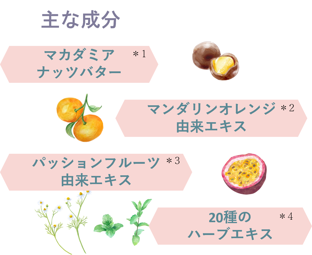 ※イラストはイメージ