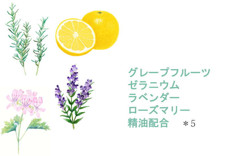 大幅値下げ◆ボディメイクをサポート する美容液「エステボディセラム」２本 エステボディセラム販売開始のお知らせ | 株式会社シーズ・ラボの