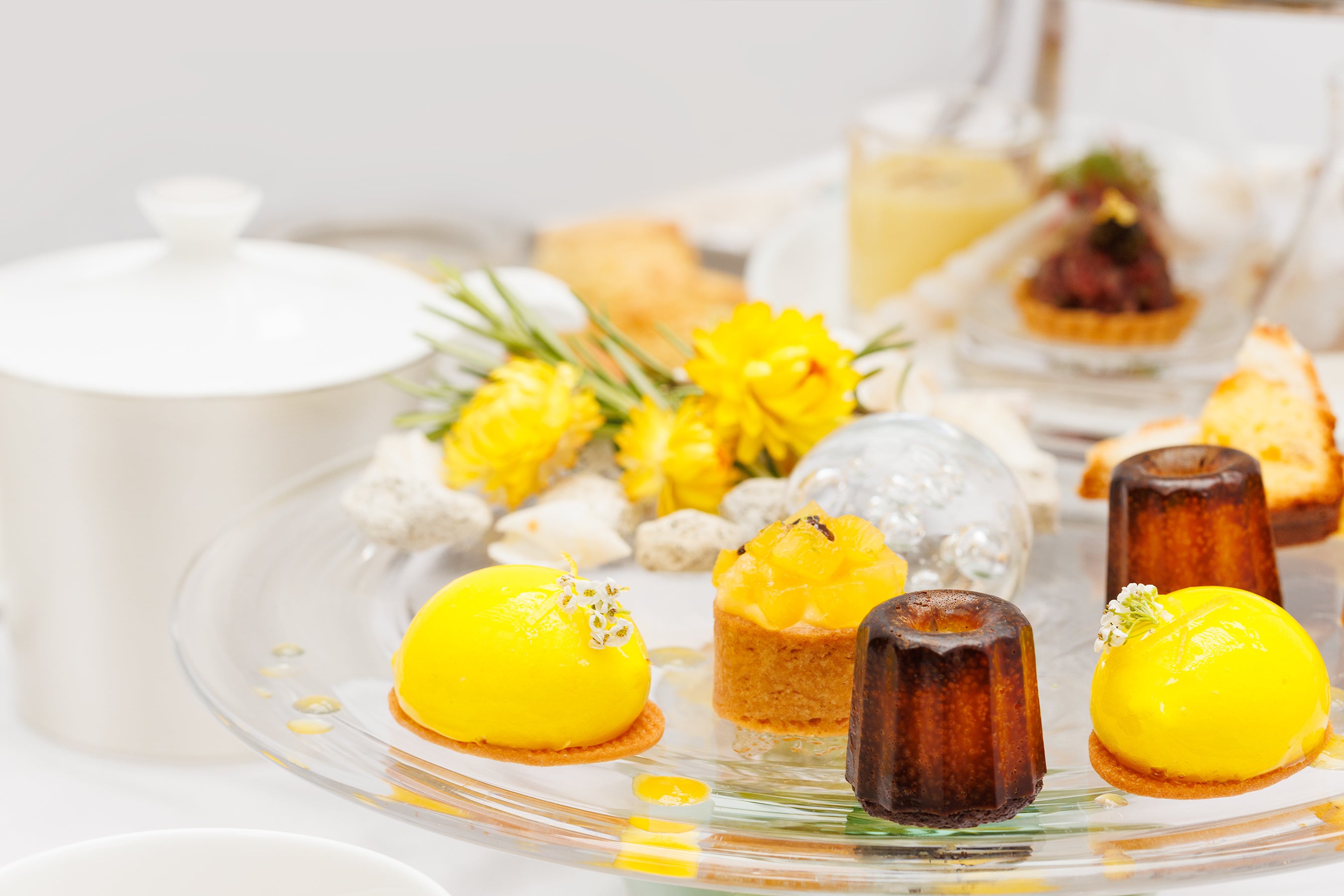 ステラート サパークラブ「サマートロピカルアフタヌーンティー」季節のスペシャルプレート