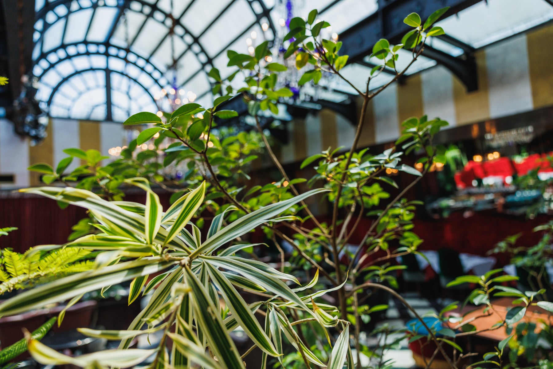 CAFE La Bohème PENTHOUSE（カフェ ラ・ボエム ペントハウス）