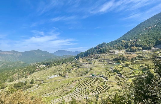 【フェアフィールド・バイ・マリオット 道の駅プロジェクト】三重県熊野市の棚田「丸山千枚田」の畦ぬり体験に参加! 【フェアフィールド・バイ・マリオット 道の駅プロジェクト】三重県熊野市の棚田「丸山千枚田」の畦ぬり体験に参加!