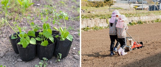 【フェアフィールド・バイ・マリオット 道の駅プロジェクト】親子で楽しめる苗植え、種まき体験&ピザづくり体験イベントを5月24日(日)開催! 【フェアフィールド・バイ・マリオット 道の駅プロジェクト】親子で楽しめる苗植え、種まき体験&ピザづくり体験イベントを5月24日(日)開催!