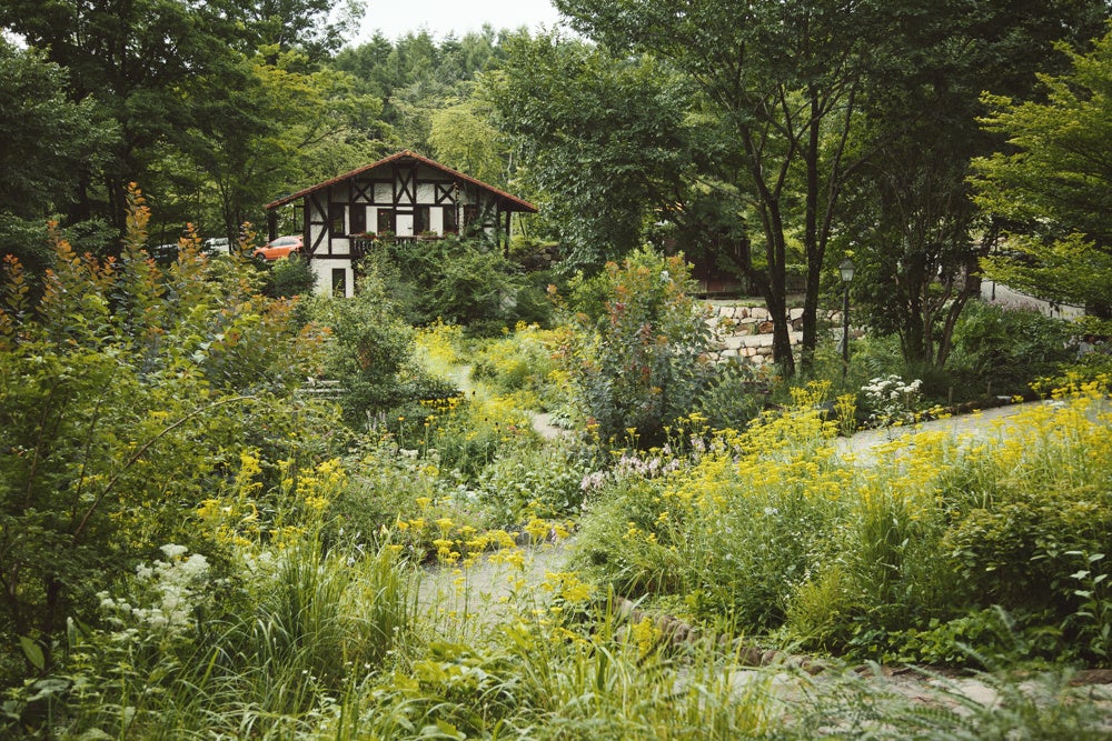 各店舗をつなぐようにして広がるナチュラルガーデン