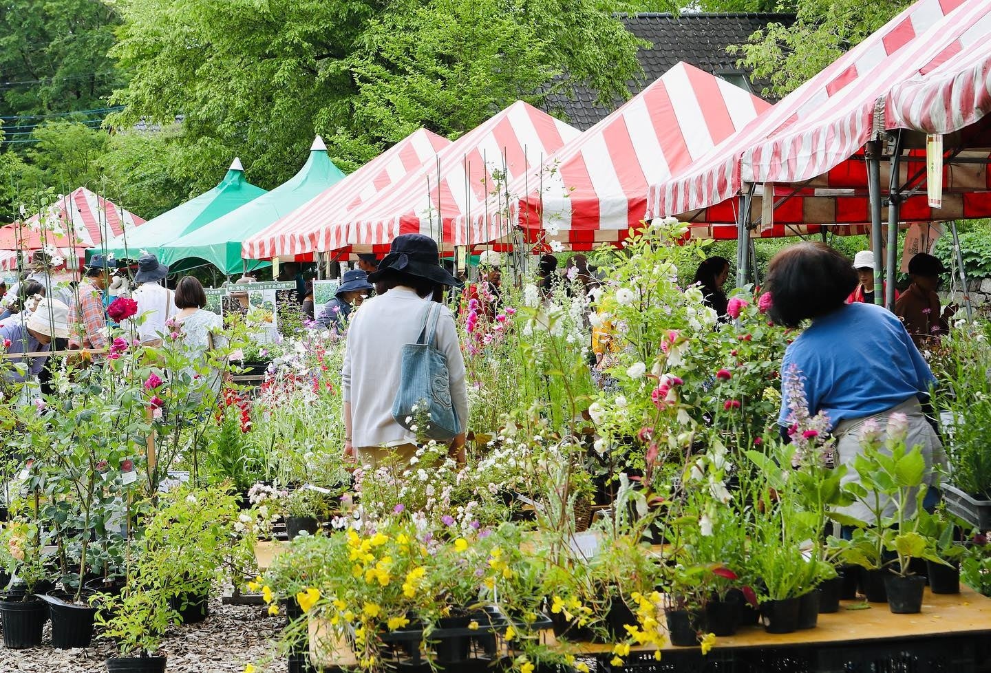 MOEGIガーデンマルシェ(以前の様子)
