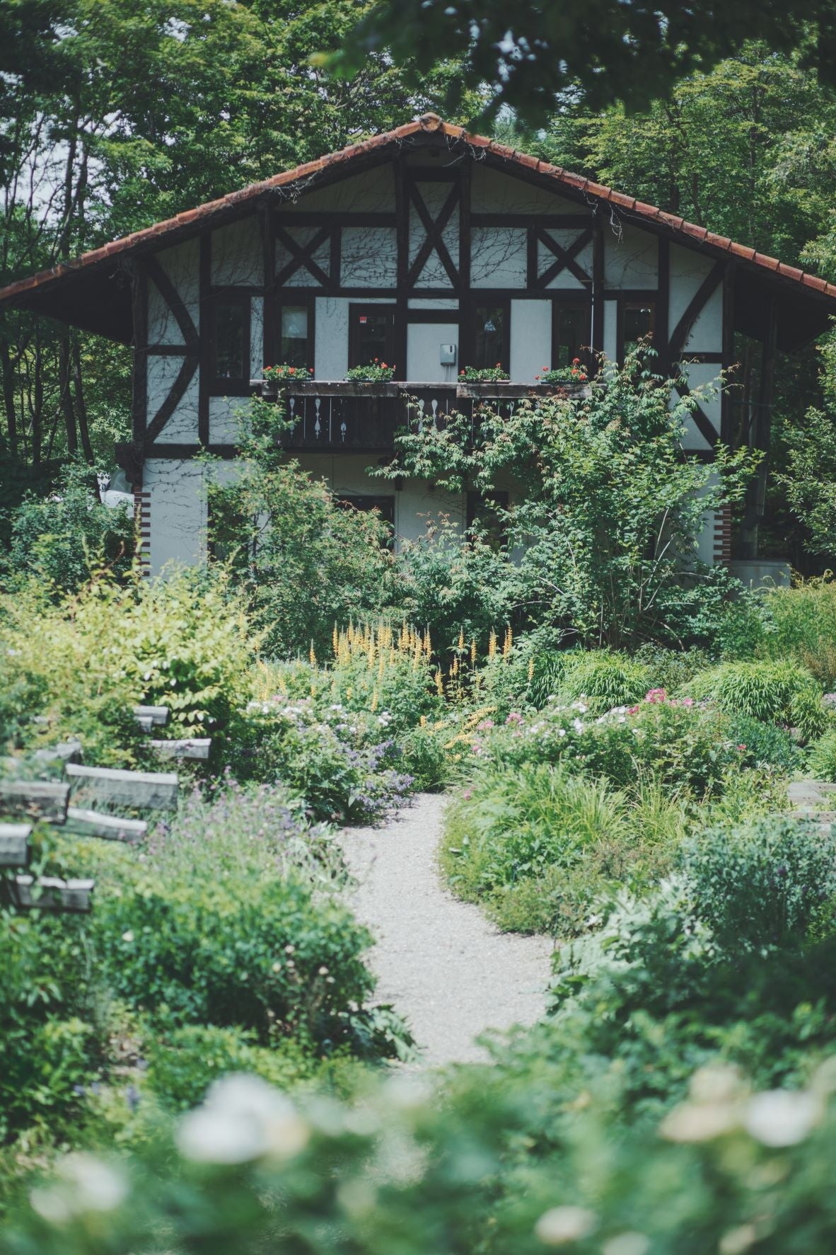 多様な生物が息づく「ナチュラルガーデンズMOEGI」