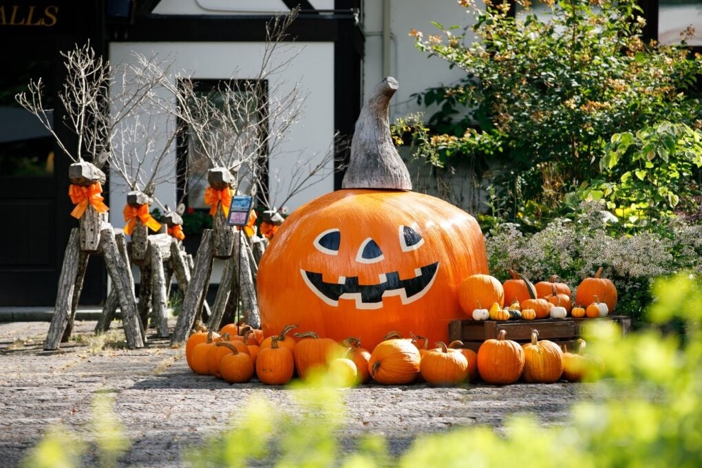 牧草ロールをペイントして作ったカボチャのオブジェも。牧草地帯の清里高原ならではの装飾です