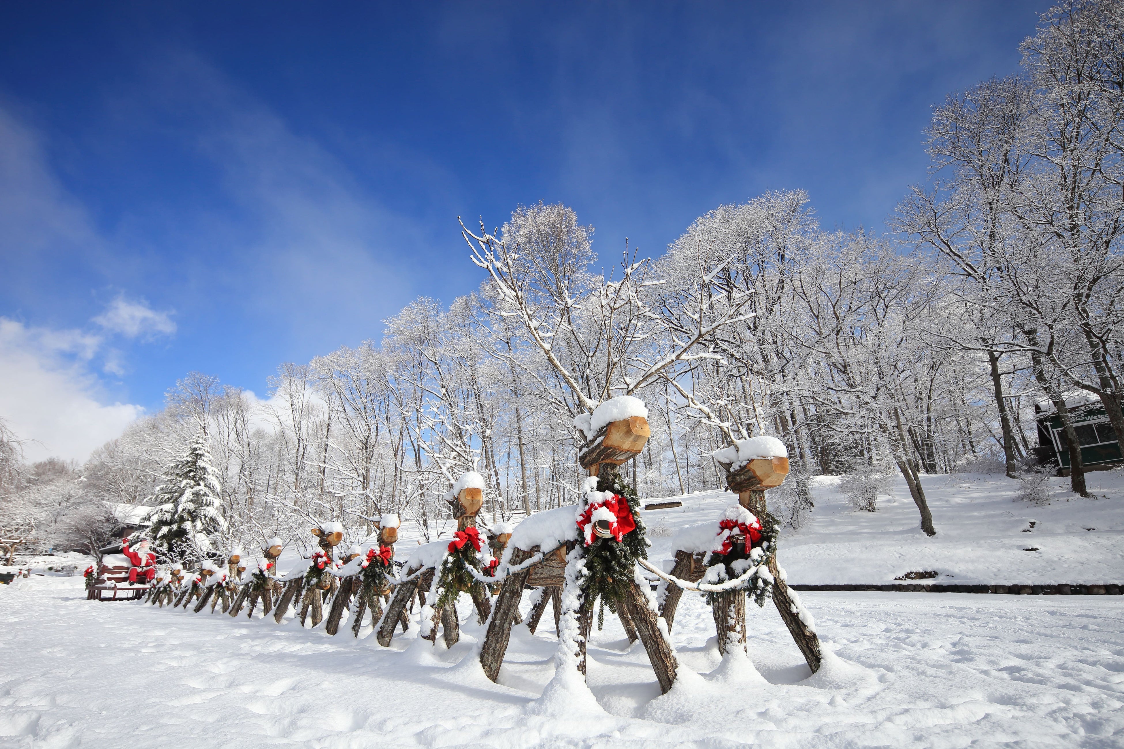 サンタクロースが乗ったそりを運ぶ自然木のトナカイ