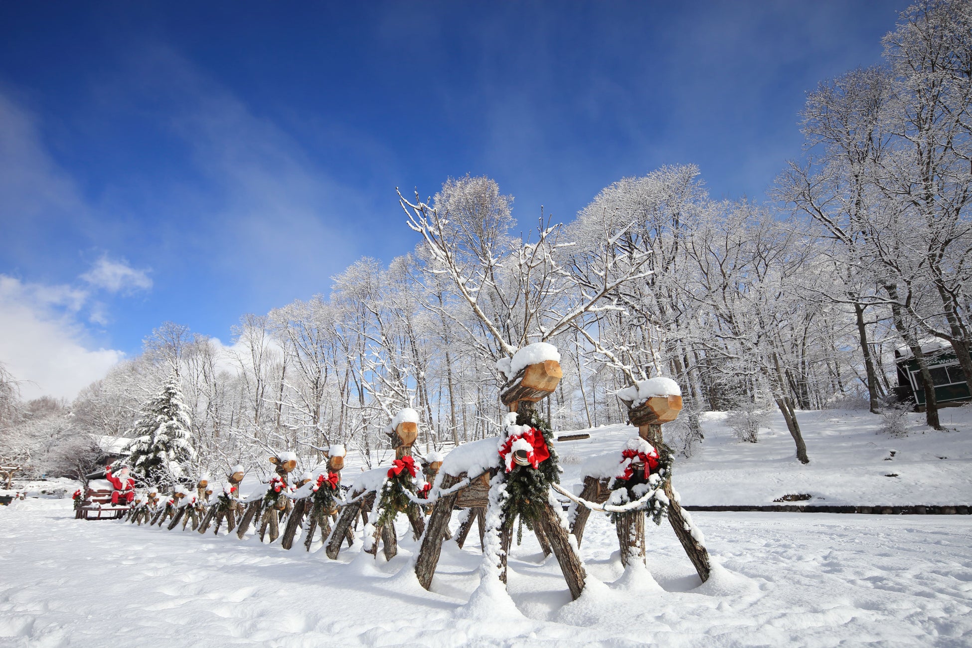 サンタクロースが乗ったそりを運ぶ自然木のトナカイ