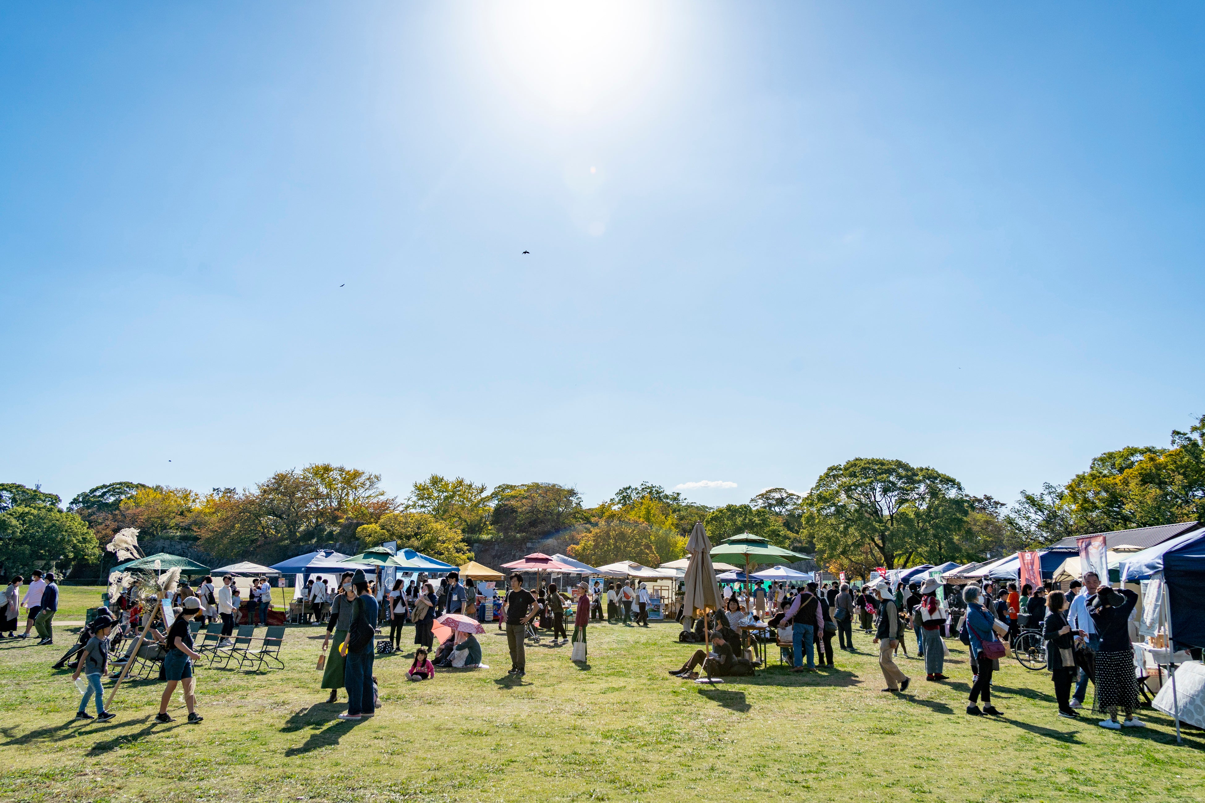「お米と発酵」でオーガニック腸活！福岡最大級のサステナブルな都市型マルシェ「第14回 福岡オーガニックマルシェ」11月8日より開催