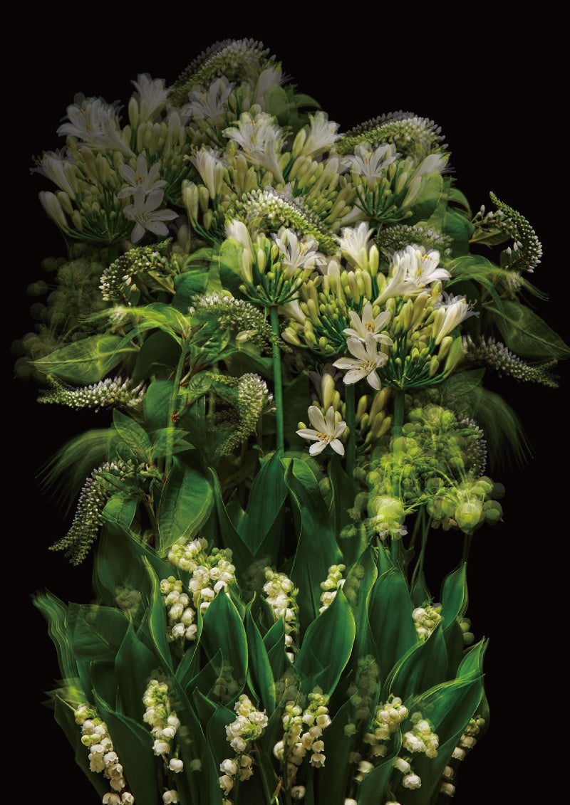 MAISON CHRISTIAN DIOR X AZUMA MAKOTO | パルファン・クリスチャン