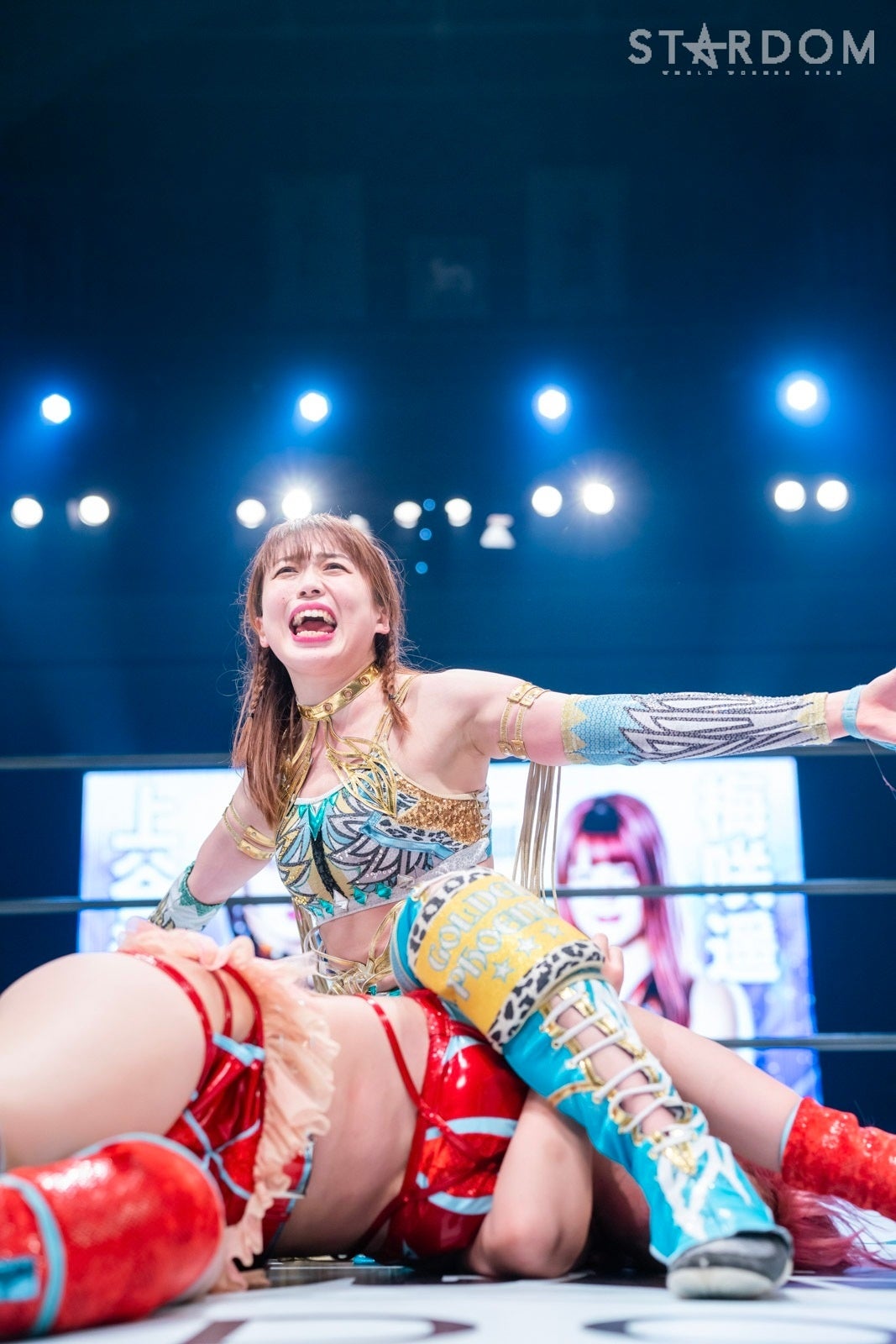 女子プロレス　スターダム　2022年　アクリルスタンド　stars フルコンプ Amazon.co.jp: 女子プロレス スターダム stardom アクリル